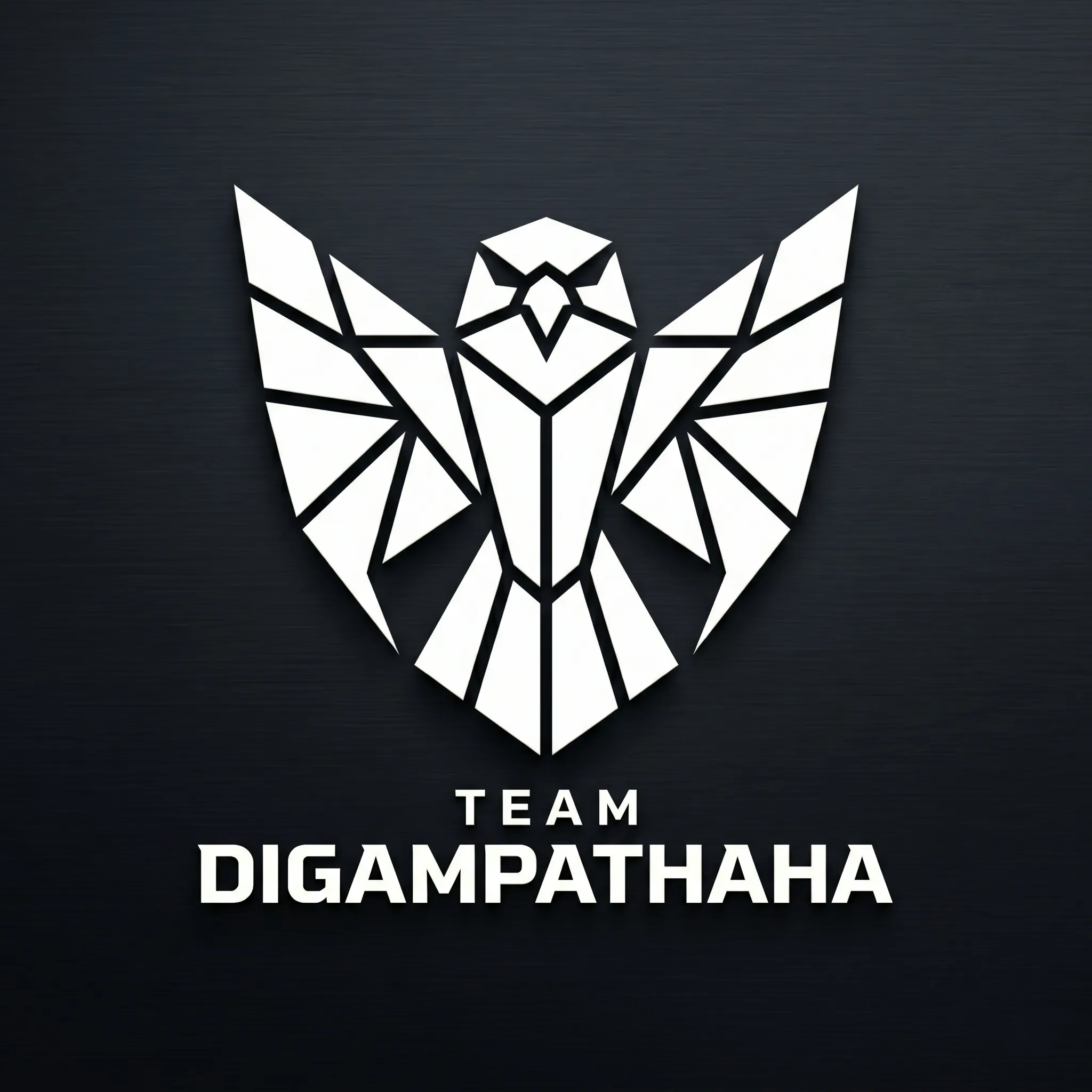 Team Digampathaha